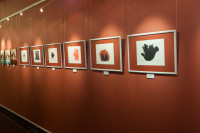 /album/bildgalleri-grafica-naturae/20111001-0384-jpg/