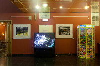 /album/bildgalleri-grafica-naturae/20111001-0406-jpg/