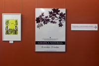 /album/bildgalleri-grafica-naturae/20111001-0435-jpg/