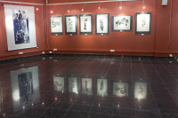 /album/bildgalleri-grafica-naturae/20111001-0448-jpg/